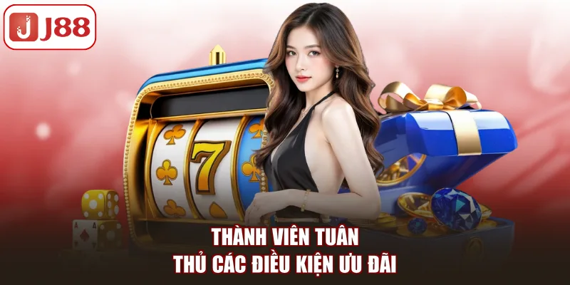 Hoàn Trả 0.8%: Mở Khóa Ưu Đãi Hồi Vốn Hấp Dẫn Tại J88 - pivip.im