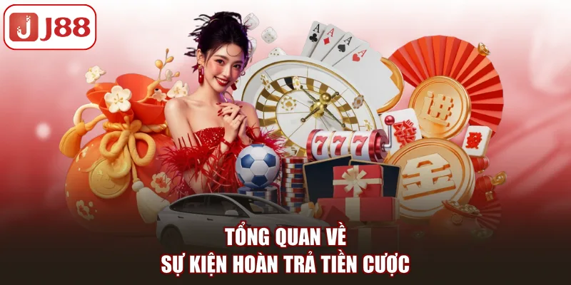 Hoàn Trả 0.8%: Mở Khóa Ưu Đãi Hồi Vốn Hấp Dẫn Tại J88 - pivip.im